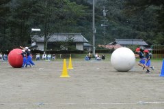 大玉ゴロゴロ